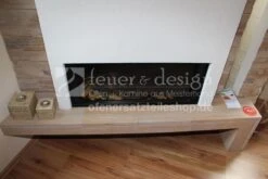 Faber Gaskamin Relaxed Premium M Ausstellungsstück -Brunner Verkaufsgeschäft Faber Gaskamin Relaxed M FDDAAVB691031 3uWqxltslqJRPj 1280x1280