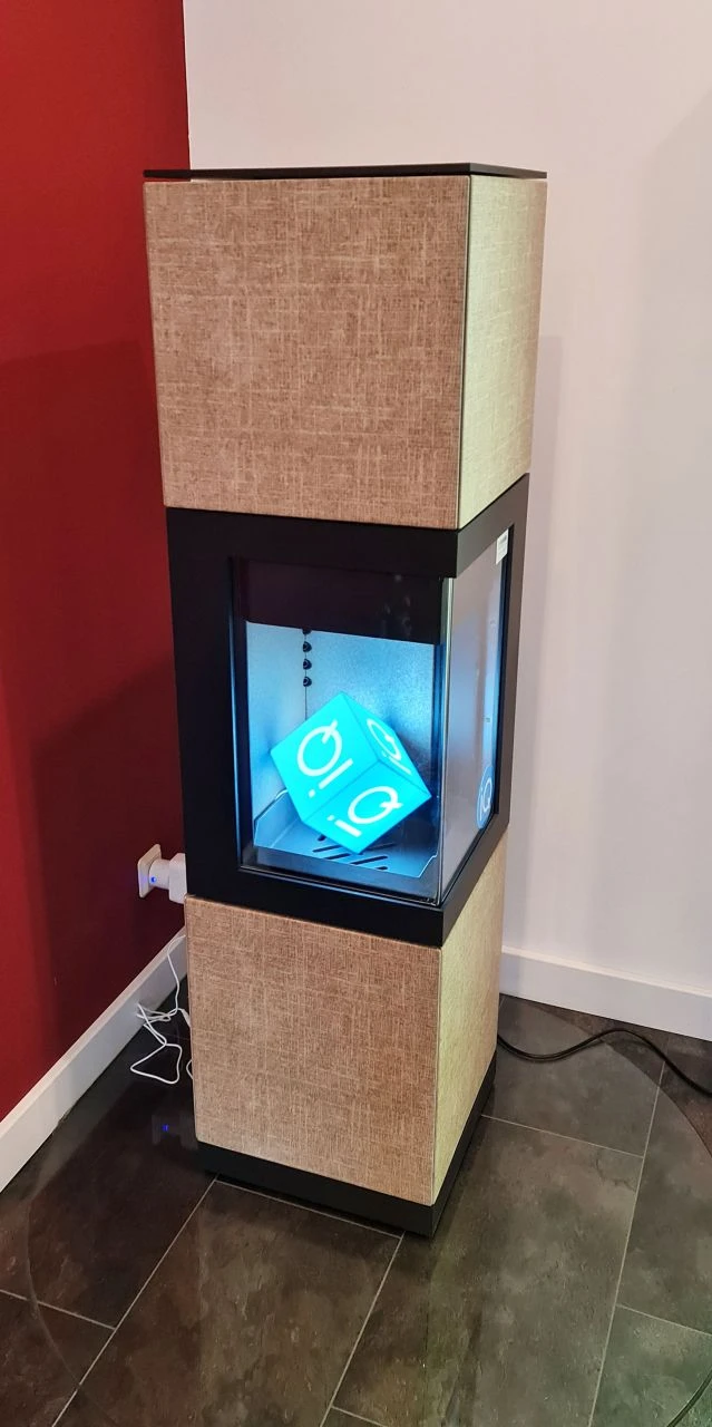 Hase LHasa IQ Ausstellungsstück 5 Hase LHasa IQ Ausstellungsstück – Bild 3